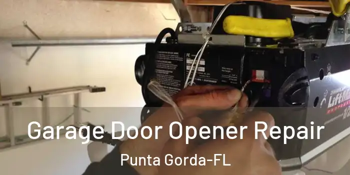  Garage Door Opener Repair Punta Gorda-FL