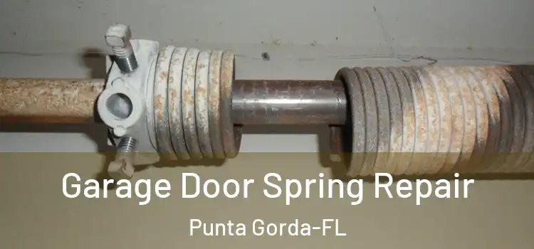  Garage Door Spring Repair Punta Gorda-FL