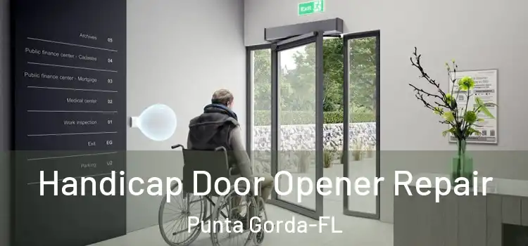  Handicap Door Opener Repair Punta Gorda-FL