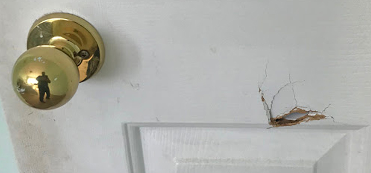 interior door hole repair Punta Gorda