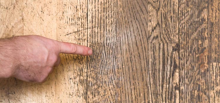 Wood Door Scratch Repair in Punta Gorda