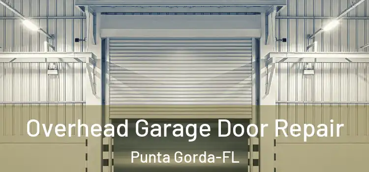  Overhead Garage Door Repair Punta Gorda-FL