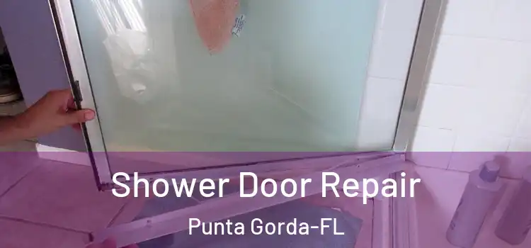  Shower Door Repair Punta Gorda-FL